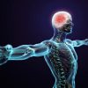 Imagem digital de corpo humano transparente com braços abertos, evidenciando o sistema esquelético e o cérebro iluminado em vermelho.